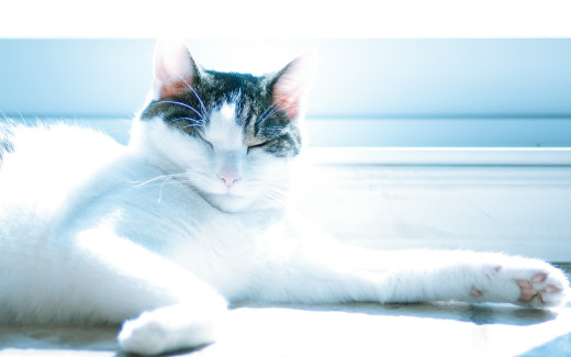 629241 (a): :2560x1600